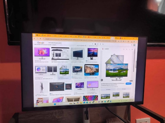 Picture of USED: Dell Professional P2422H 24 inches Monitor
