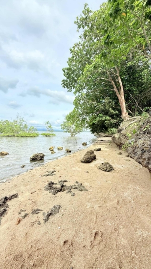 Picture of Beach lots- Quezon Province