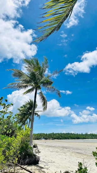 Picture of Beach lots- Quezon Province